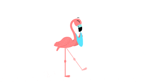 Flamingo Gif