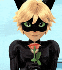 Adrien Agreste Gif,Animated Gif,Cat Noir Gif,Fictional Superhero Gif,Miraculous Gif,Television Series Gif,War Gif,Warrior Gif