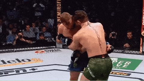 Conor McGregor Gif Gif Conor McGregor Gif Gif