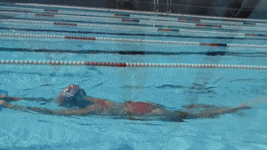 Sport Gif,Blue Water Gif,Olympic Gif,Pool Gif,Swimming Australia Gif,Water Gif