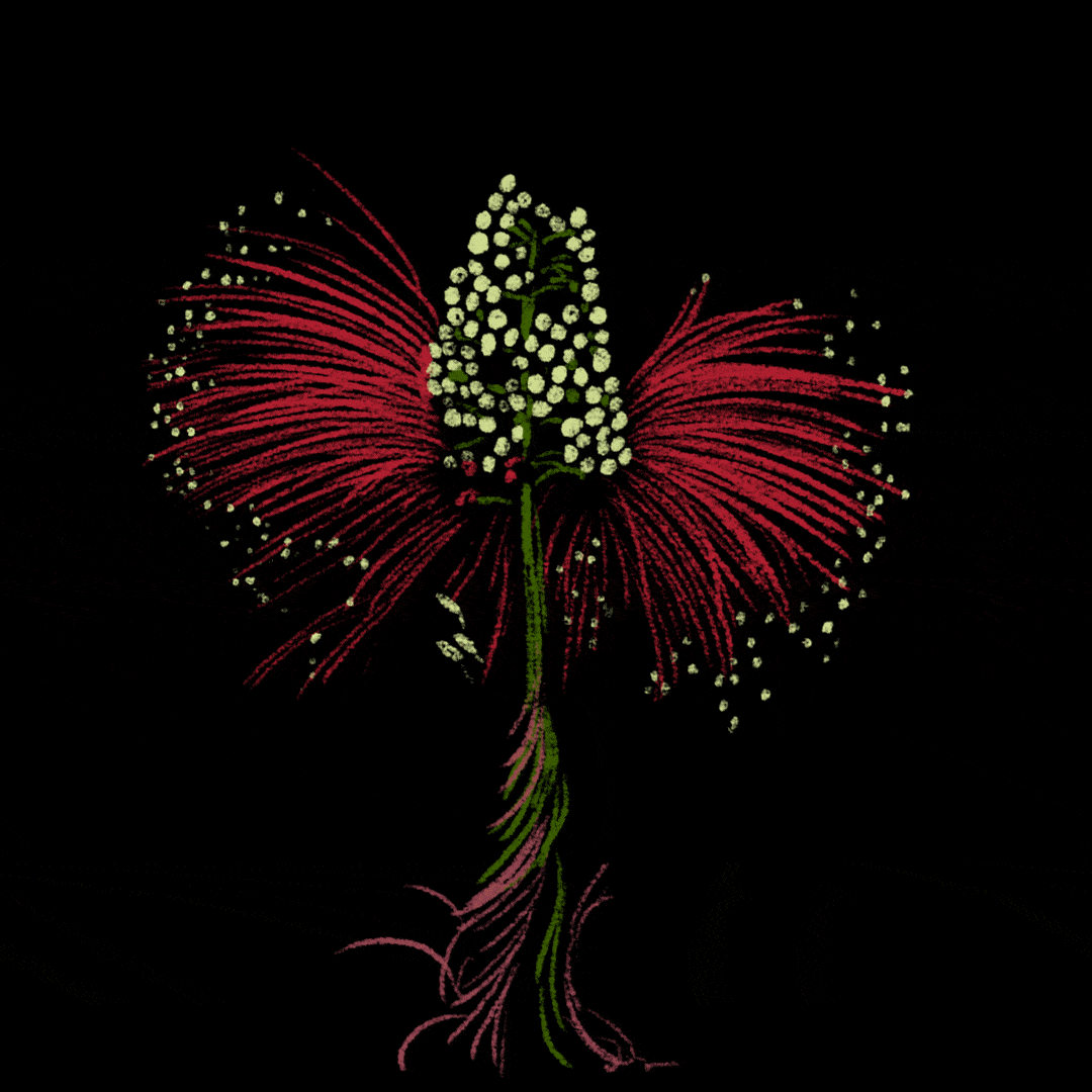 Flower Gif - IceGif