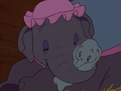 Dumbo Gif