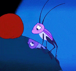 Animal Gif,Bug Gif,Crickets Gif,Grasshoppers Gif,Grylloidea. Gif,Insects Gif,Orthopteran Gif,Superfamily Gif