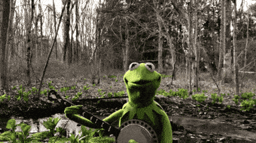 Kermit The Frog Gif - IceGif