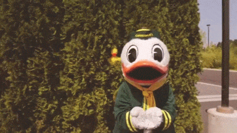 Oregon Ducks Gif