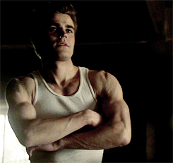 CW's The Vampire Diaries Gif,Fictional Character Gif,Stefan Salvatore Gif,Television Series Gif