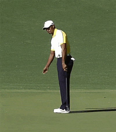 Tiger Woods Gif