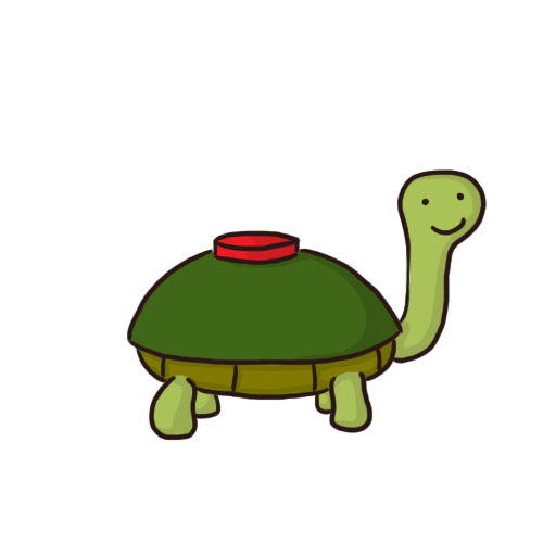 Turtle Gif
